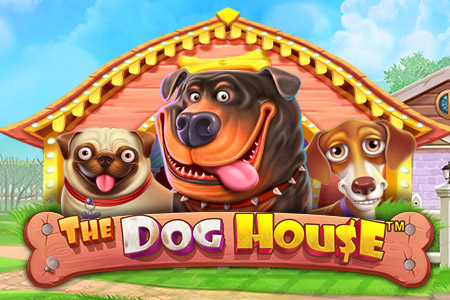 iWild Casino the dog house